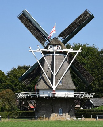 Woldzigt
